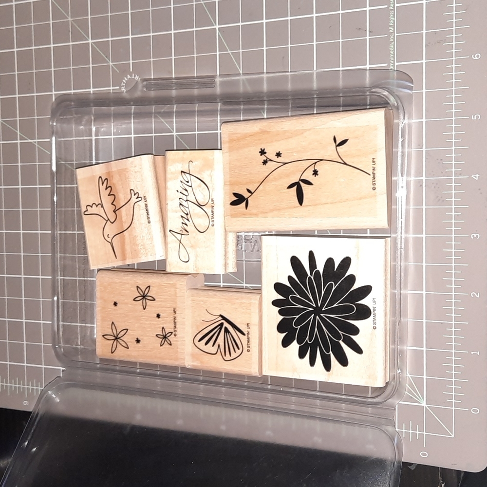 Pretty Amazing Stampin Up rubber stamp set of 6
